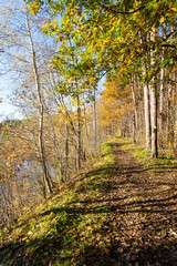 autumn colored tourism trail in the woods