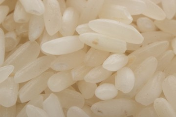 Fototapeta na wymiar рис