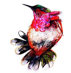Drawing on paper of colorful paradise bird