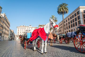 Fototapeta na wymiar Horses and Carriages Piazza di Spagna, Rome Italy