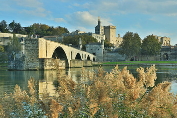 Le pont d'Avignon...