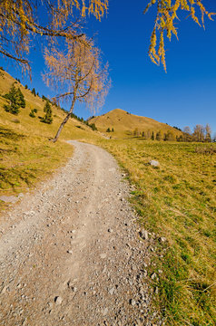 IL SENTIERO CHE PORTA A SELLA FESTONS