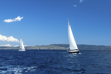 Fototapeta na wymiar Sailing regatta. Luxury yachts.