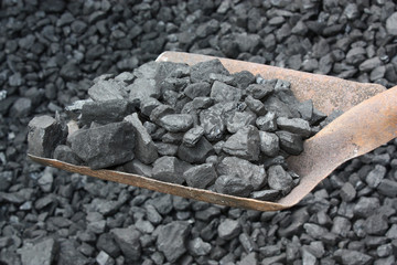 Shovel full  coal