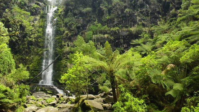 Erskine Falls waterfall along the Great Ocean Road 