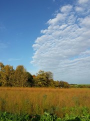 Obraz premium Herbstlandschaft mit blauem Himmel Hochkant