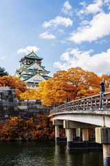 Fototapeta premium Japanese Castle with autumn leaves.
