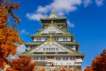 Fototapeta premium Japanese Castle with autumn leaves.