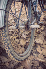 Fototapeta na wymiar bicycle and autumn dry leaves fall on the ground