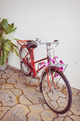 classic old bicycle decorated with pink flower