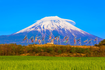 Fototapeta premium Colorful carp banners and Mount Fuji