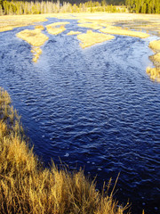 Marshland in Fall