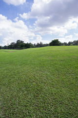 lawn of golf course, green grass field in the park