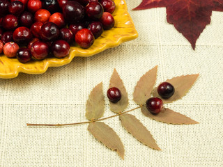 Plate of cranberries with autumn leaves