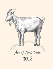 Goat, hand-drawing