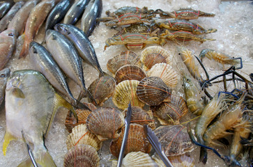 Seafood on ice at the fish market