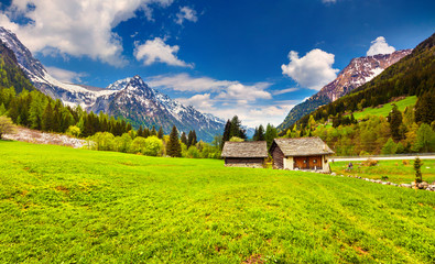 Fototapeta na wymiar View from Maloja pass, Switzerland, Alps.