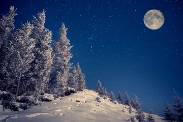 Poster de jardin Hiver ull moon in night sky in the winter mountains