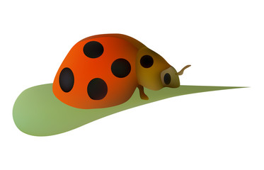 Ladybug on Leaf