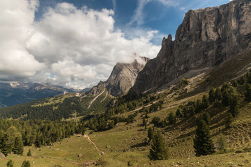 Fototapeta na wymiar walking track across forested slope in Dolomites