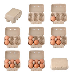 eggs in an egg carton on a white background