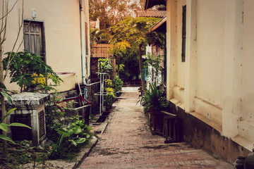 Alley with sunlight in Luang prabang, Laos.