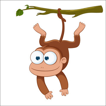 Cute Monkey Hanging On A Tree Branch