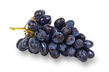 Blue grape