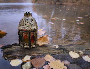 Vintage lantern on the old tree with fallen leaves
