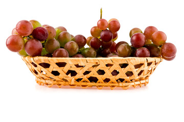 Vine