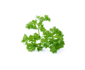 parsley isolated on white background
