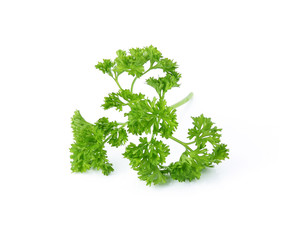 parsley isolated on white background