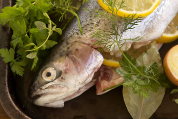Raw Rainbow Trout