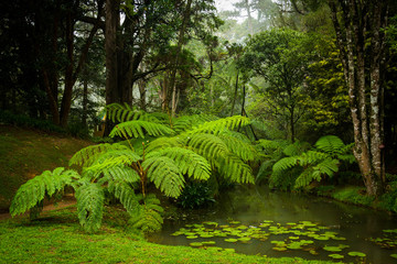 Botanical Garden Hakgala