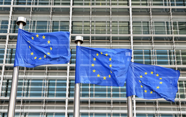 flags of European Union at European Commission - 72593531