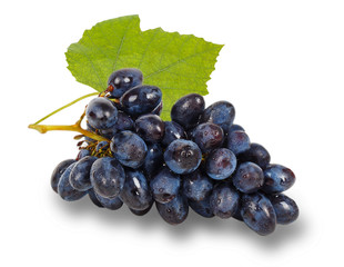 Blue grape with green leaf