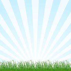 Landscape background with grass and sky. Vector