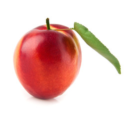 nectarine
