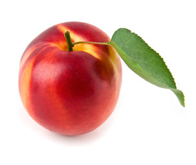 nectarine