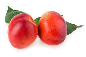 nectarines
