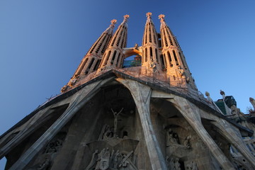 Naklejka premium Sagrada familia in Barcelona Spain