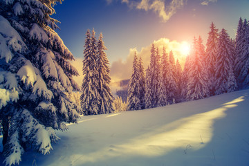 Beautiful winter landscape