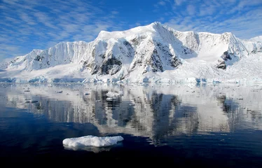 Rolgordijnen ice flee in antarctica © fivepointsix