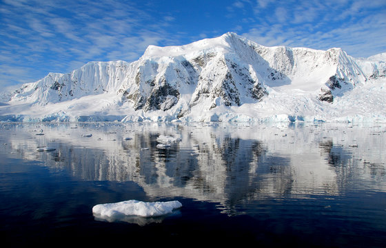 ice flee in antarctica