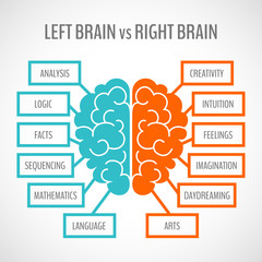 Brain hemispheres infographics