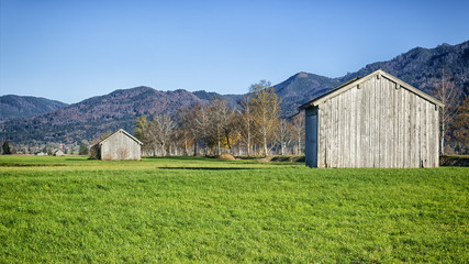 Obraz premium autumn scenery