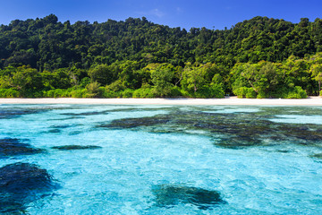 Beach of tropical crystal clear sea, Ta Chai island