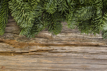 Hintergrund "Altes Holz mit Tannengrün"