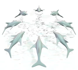 Fototapeten Dolfijnen springen in cirkel uit het water © emieldelange
