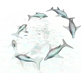 Foto op Aluminium Dolfijnen schoonspringen © emieldelange